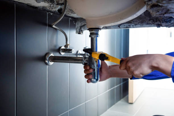 Best Gas Line Installation and Repair  in Ridge Manor, FL